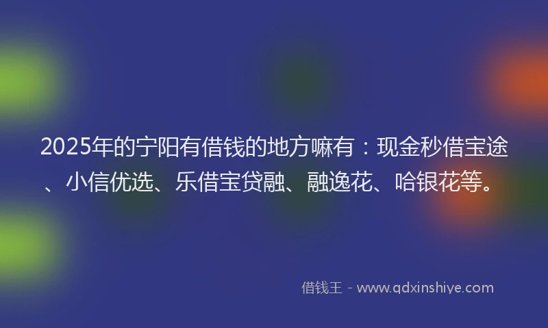 2025年的宁阳有借钱的地方嘛有：现金秒借宝途、小信优选、乐借宝贷融、融逸花、哈银花等。