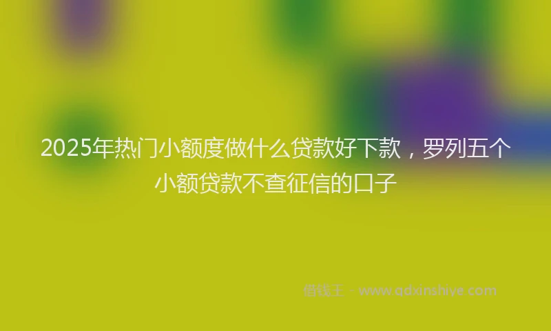 2025年热门小额度做什么贷款好下款，罗列五个小额贷款不查征信的口子