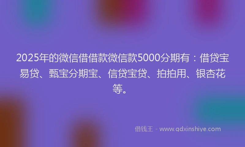 2025年的微信借借款微信款5000分期有：借贷宝易贷、甄宝分期宝、信贷宝贷、拍拍用、银杏花等。