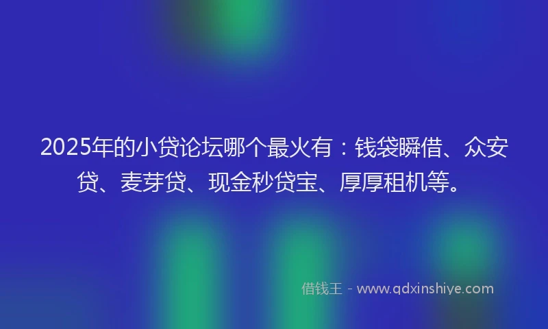 2025年的小贷论坛哪个最火有：钱袋瞬借、众安贷、麦芽贷、现金秒贷宝、厚厚租机等。