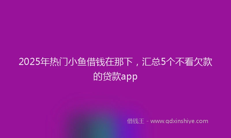 2025年热门小鱼借钱在那下，汇总5个不看欠款的贷款app