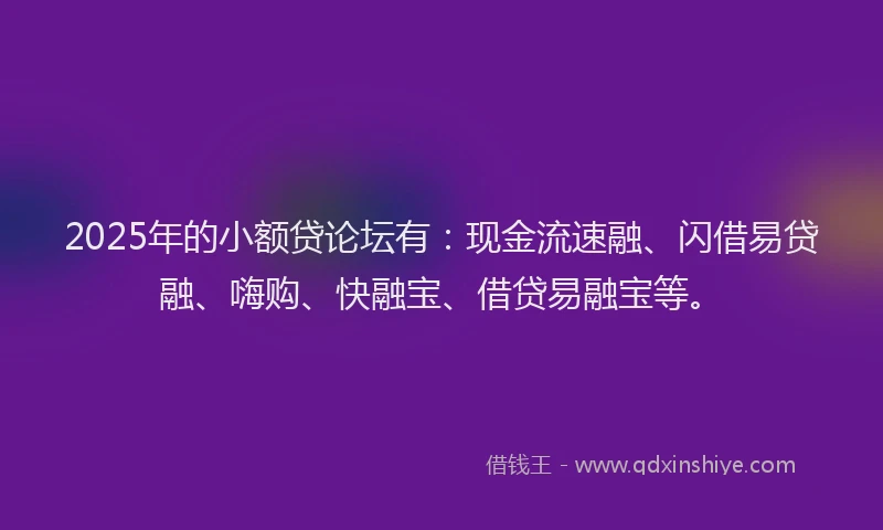 2025年的小额贷论坛有：现金流速融、闪借易贷融、嗨购、快融宝、借贷易融宝等。