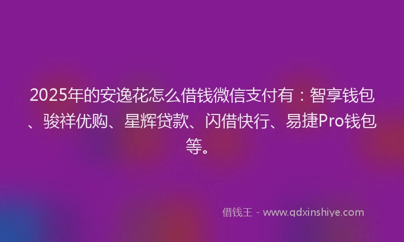 2025年的安逸花怎么借钱微信支付有：智享钱包、骏祥优购、星辉贷款、闪借快行、易捷Pro钱包等。