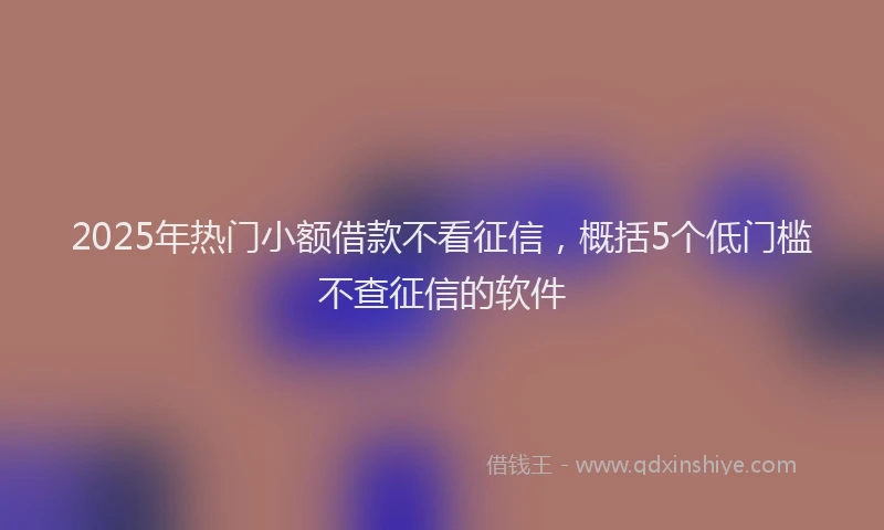 2025年热门小额借款不看征信，概括5个低门槛不查征信的软件