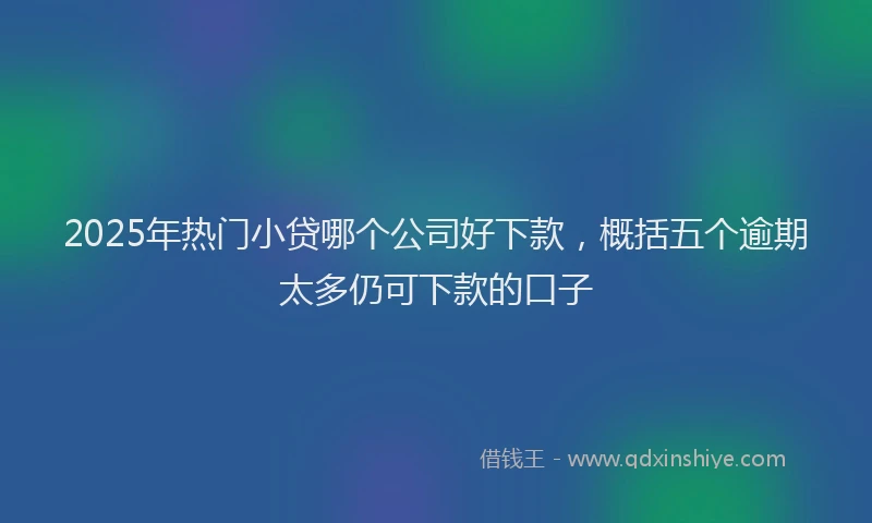 2025年热门小贷哪个公司好下款，概括五个逾期太多仍可下款的口子