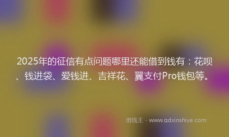 2025年的征信有点问题哪里还能借到钱有：花呗、钱进袋、爱钱进、吉祥花、翼支付Pro钱包等。