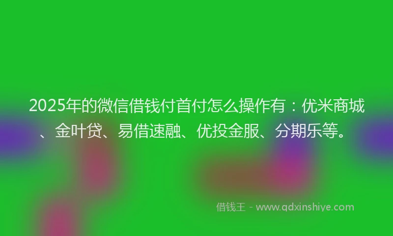 2025年的微信借钱付首付怎么操作有：优米商城、金叶贷、易借速融、优投金服、分期乐等。