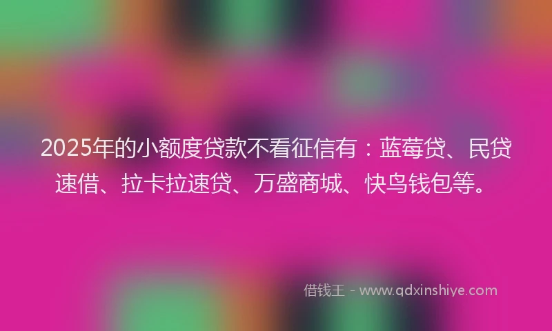 2025年的小额度贷款不看征信有：蓝莓贷、民贷速借、拉卡拉速贷、万盛商城、快鸟钱包等。