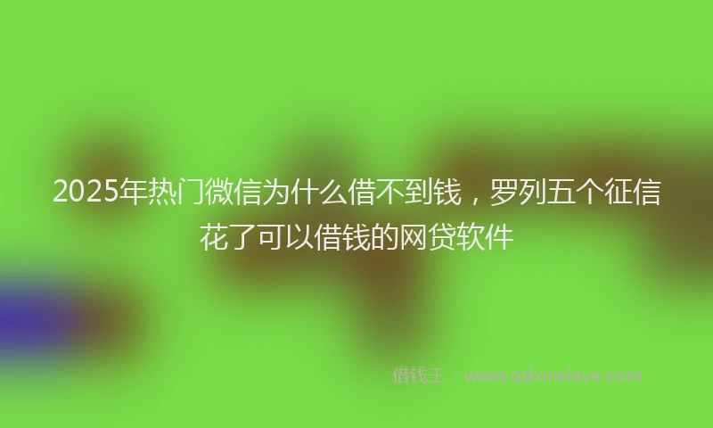 2025年热门微信为什么借不到钱，罗列五个征信花了可以借钱的网贷软件