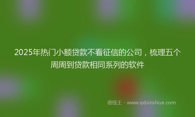 2025年热门小额贷款不看征信的公司，梳理五个周周到贷款相同系列的软件