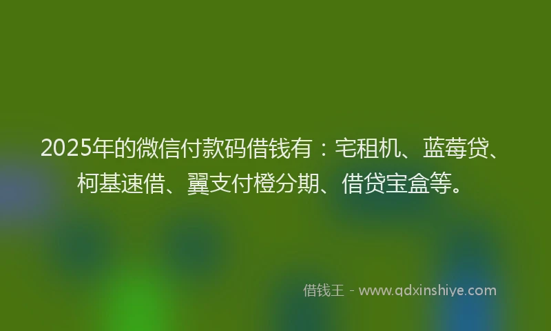 2025年的微信付款码借钱有：宅租机、蓝莓贷、柯基速借、翼支付橙分期、借贷宝盒等。