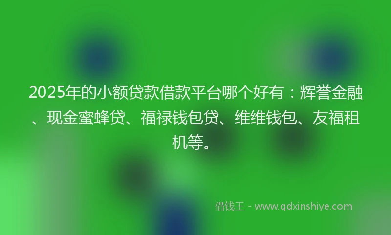 2025年的小额贷款借款平台哪个好有：辉誉金融、现金蜜蜂贷、福禄钱包贷、维维钱包、友福租机等。