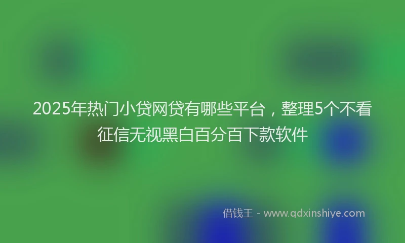 2025年热门小贷网贷有哪些平台，整理5个不看征信无视黑白百分百下款软件