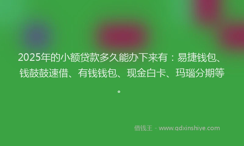 2025年的小额贷款多久能办下来有：易捷钱包、钱鼓鼓速借、有钱钱包、现金白卡、玛瑙分期等。