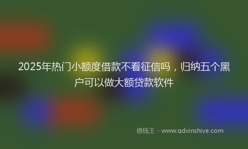 2025年热门小额度借款不看征信吗，归纳五个黑户可以做大额贷款软件