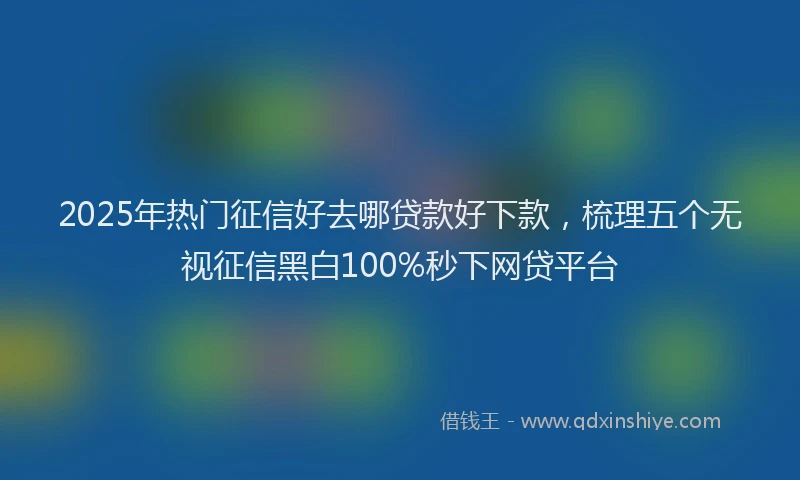 2025年热门征信好去哪贷款好下款，梳理五个无视征信黑白100%秒下网贷平台
