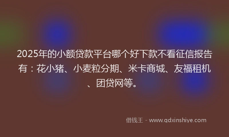 2025年的小额贷款平台哪个好下款不看征信报告有：花小猪、小麦粒分期、米卡商城、友福租机、团贷网等。