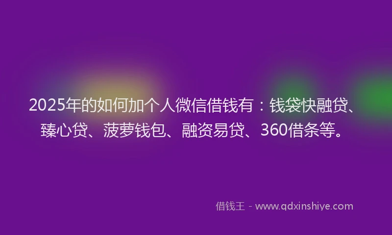 2025年的如何加个人微信借钱有：钱袋快融贷、臻心贷、菠萝钱包、融资易贷、360借条等。