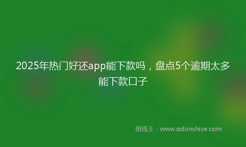 2025年热门好还app能下款吗，盘点5个逾期太多能下款口子