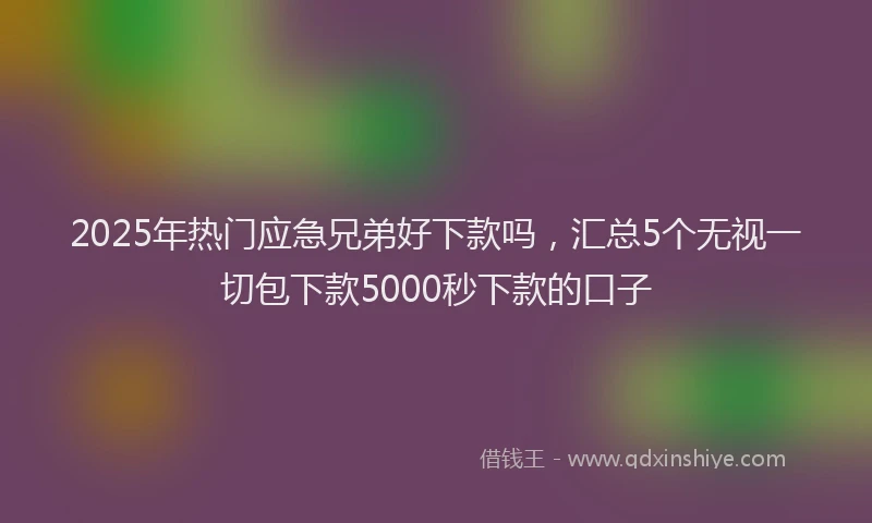 2025年热门应急兄弟好下款吗，汇总5个无视一切包下款5000秒下款的口子