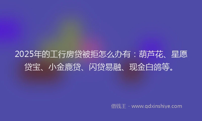 2025年的工行房贷被拒怎么办有：葫芦花、星愿贷宝、小金鹿贷、闪贷易融、现金白鸽等。
