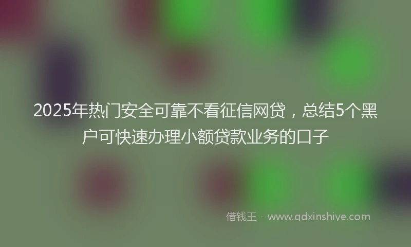 2025年热门安全可靠不看征信网贷，总结5个黑户可快速办理小额贷款业务的口子
