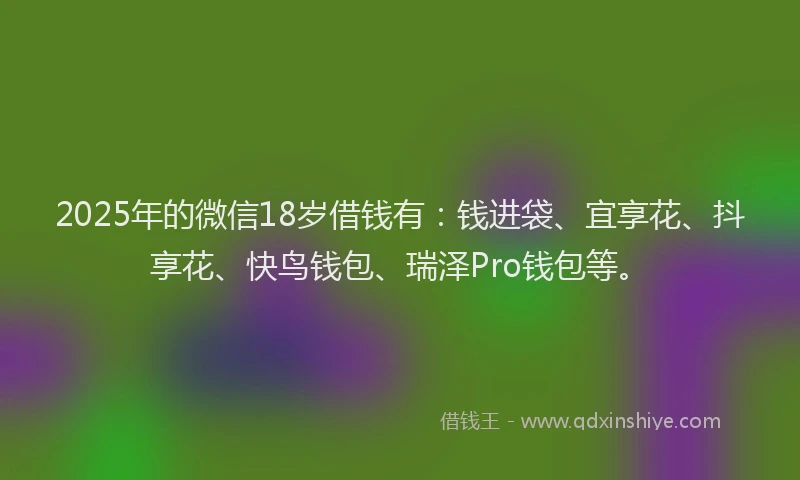 2025年的微信18岁借钱有：钱进袋、宜享花、抖享花、快鸟钱包、瑞泽Pro钱包等。