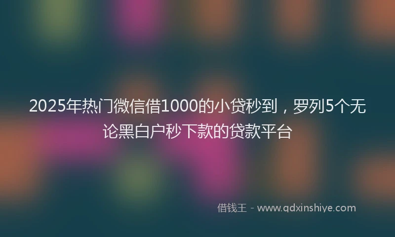 2025年热门微信借1000的小贷秒到，罗列5个无论黑白户秒下款的贷款平台