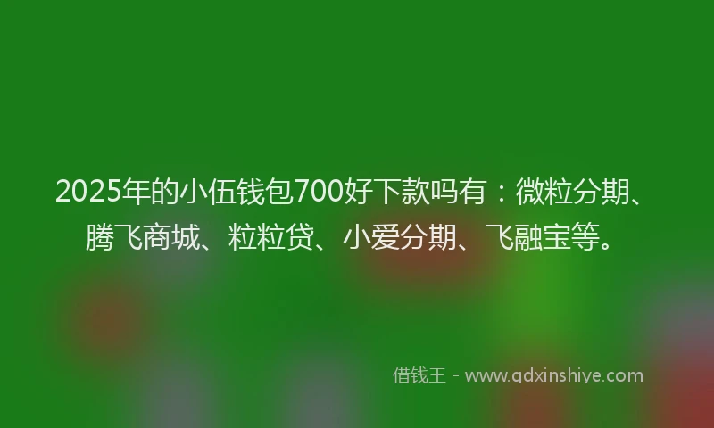 2025年的小伍钱包700好下款吗有：微粒分期、腾飞商城、粒粒贷、小爱分期、飞融宝等。
