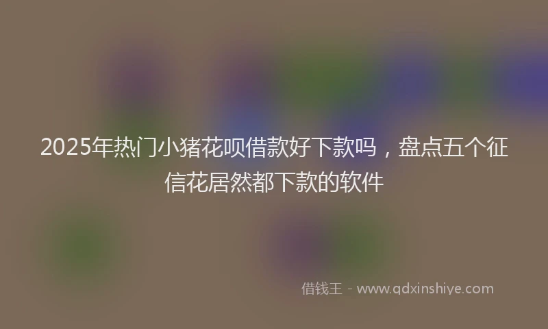 2025年热门小猪花呗借款好下款吗，盘点五个征信花居然都下款的软件