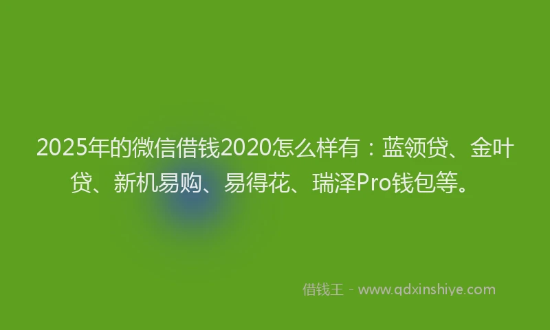 2025年的微信借钱2020怎么样有：蓝领贷、金叶贷、新机易购、易得花、瑞泽Pro钱包等。