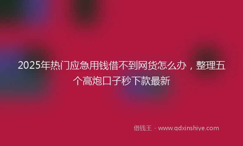 2025年热门应急用钱借不到网货怎么办，整理五个高炮口子秒下款最新