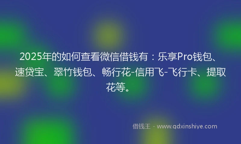 2025年的如何查看微信借钱有：乐享Pro钱包、速贷宝、翠竹钱包、畅行花-信用飞-飞行卡、提取花等。