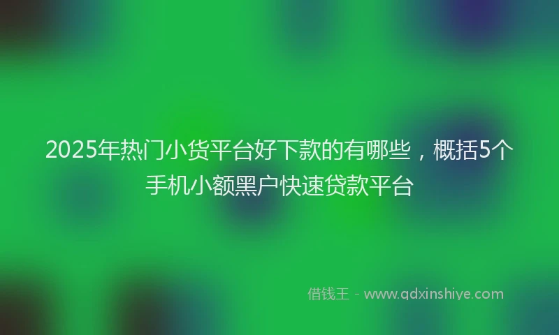 2025年热门小货平台好下款的有哪些，概括5个手机小额黑户快速贷款平台