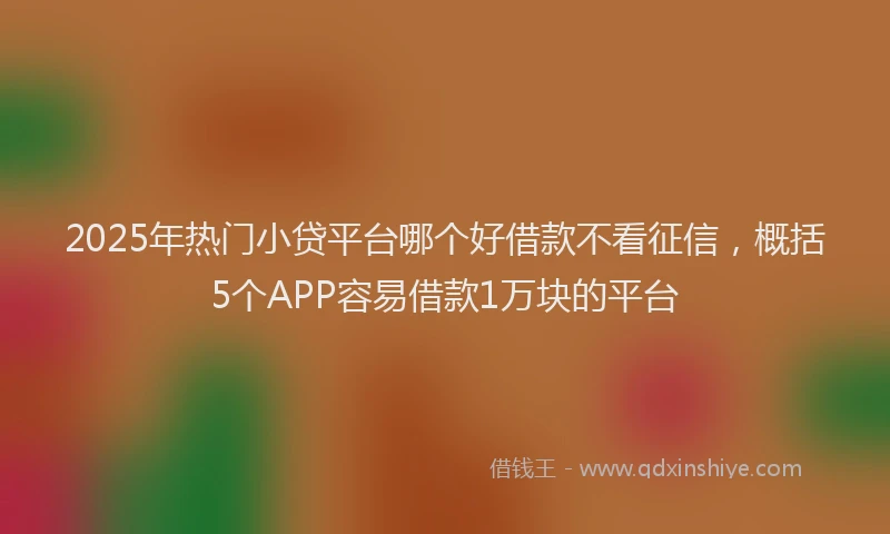 2025年热门小贷平台哪个好借款不看征信，概括5个APP容易借款1万块的平台