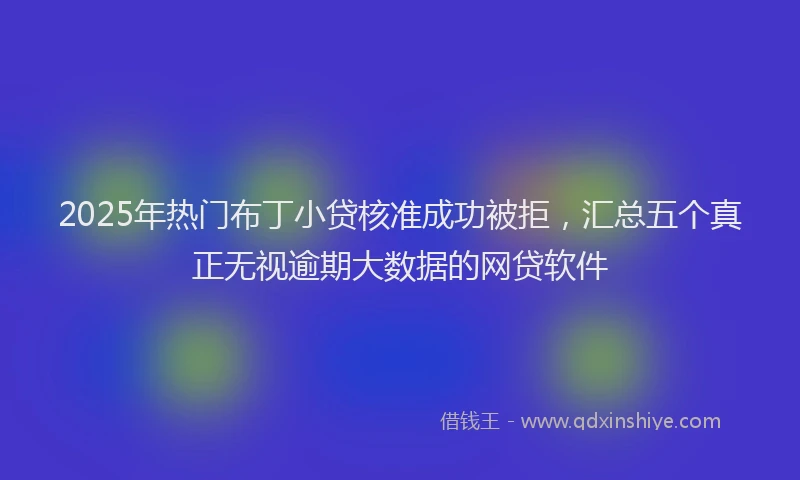 2025年热门布丁小贷核准成功被拒，汇总五个真正无视逾期大数据的网贷软件