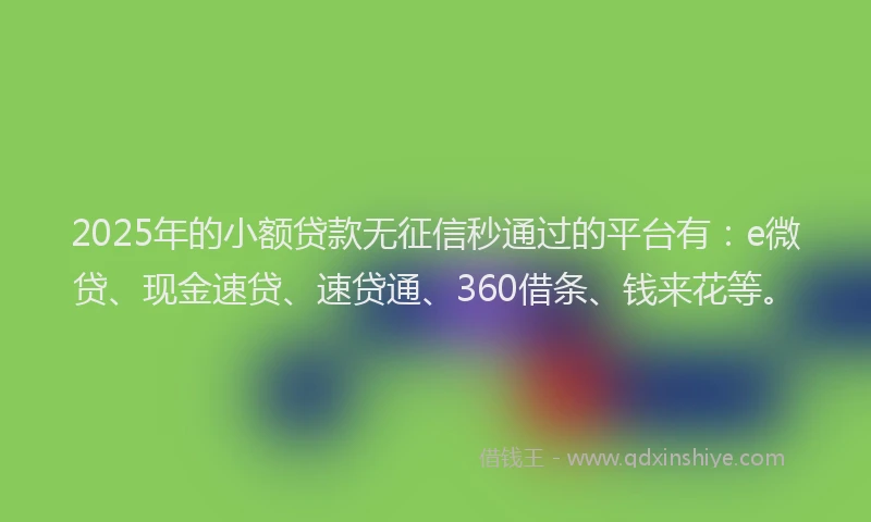 2025年的小额贷款无征信秒通过的平台有：e微贷、现金速贷、速贷通、360借条、钱来花等。