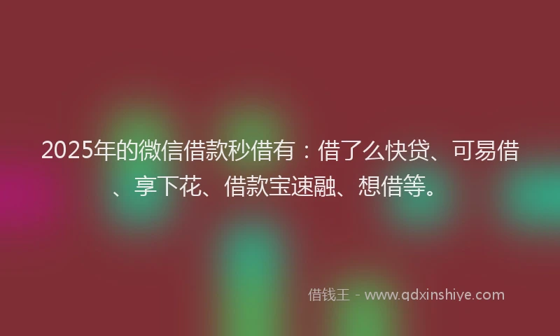 2025年的微信借款秒借有：借了么快贷、可易借、享下花、借款宝速融、想借等。