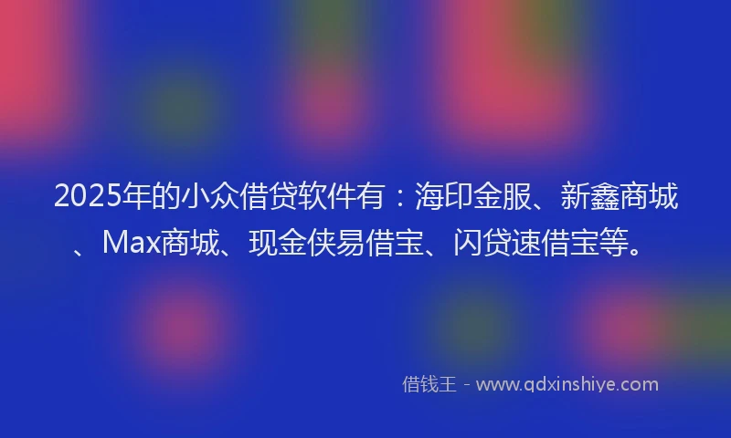 2025年的小众借贷软件有：海印金服、新鑫商城、Max商城、现金侠易借宝、闪贷速借宝等。