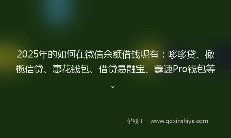 2025年的如何在微信余额借钱呢有：哆哆贷、橄榄信贷、惠花钱包、借贷易融宝、鑫速Pro钱包等。