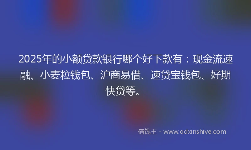 2025年的小额贷款银行哪个好下款有：现金流速融、小麦粒钱包、沪商易借、速贷宝钱包、好期快贷等。