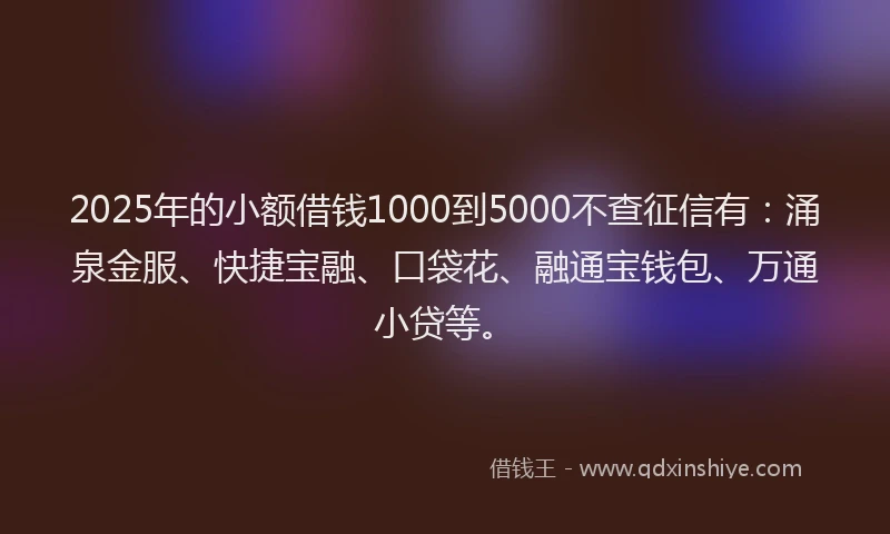 2025年的小额借钱1000到5000不查征信有：涌泉金服、快捷宝融、口袋花、融通宝钱包、万通小贷等。