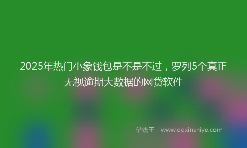 2025年热门小象钱包是不是不过，罗列5个真正无视逾期大数据的网贷软件