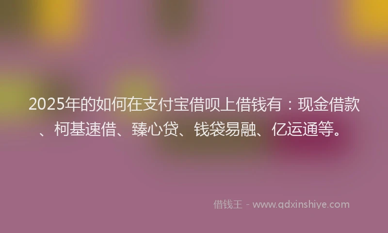 2025年的如何在支付宝借呗上借钱有：现金借款、柯基速借、臻心贷、钱袋易融、亿运通等。