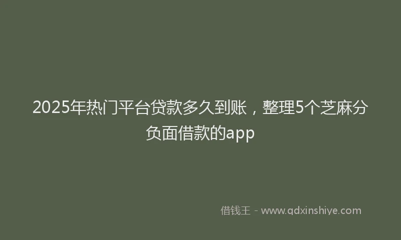 2025年热门平台贷款多久到账，整理5个芝麻分负面借款的app