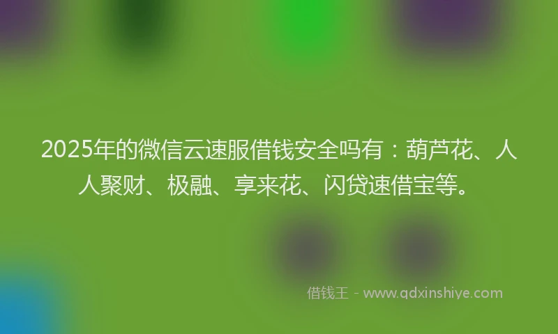 2025年的微信云速服借钱安全吗有：葫芦花、人人聚财、极融、享来花、闪贷速借宝等。