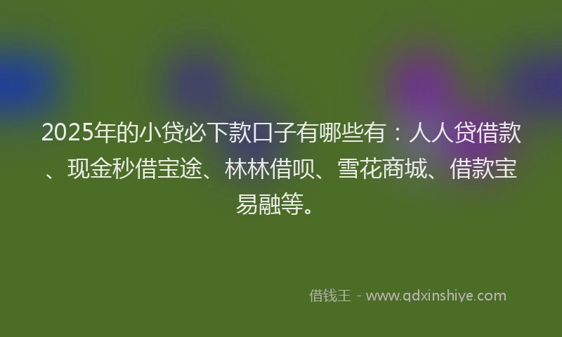 2025年的小贷必下款口子有哪些有：人人贷借款、现金秒借宝途、林林借呗、雪花商城、借款宝易融等。