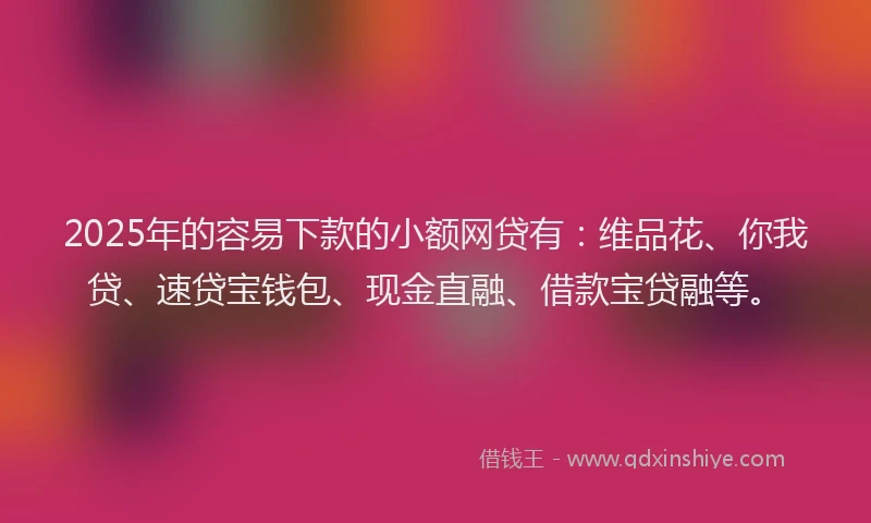 2025年的容易下款的小额网贷有：维品花、你我贷、速贷宝钱包、现金直融、借款宝贷融等。