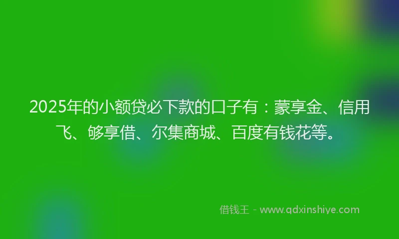 2025年的小额贷必下款的口子有：蒙享金、信用飞、够享借、尔集商城、百度有钱花等。