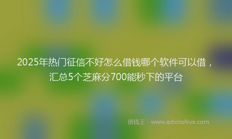 2025年热门征信不好怎么借钱哪个软件可以借，汇总5个芝麻分700能秒下的平台